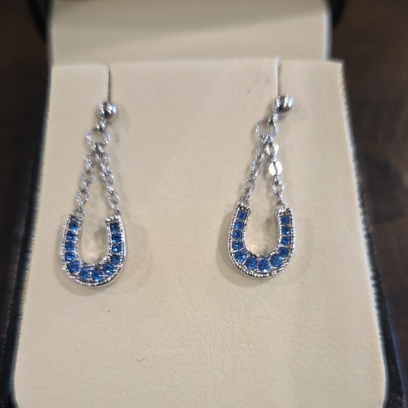 Elegant Silver and Blue Drop Earrings - Picture 3 of 3